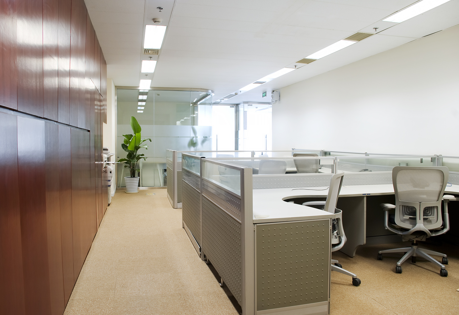 Can Good Office Lighting Improve Employee Productivity? BAF Corporation